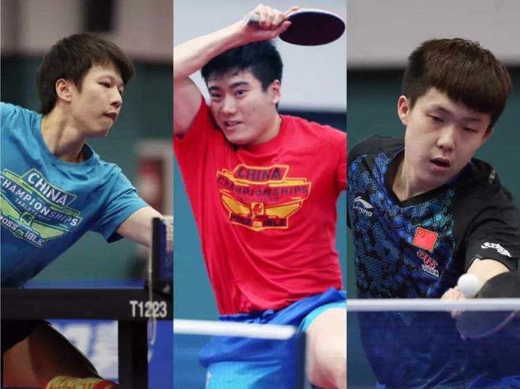 家庭的参与 家庭的参与