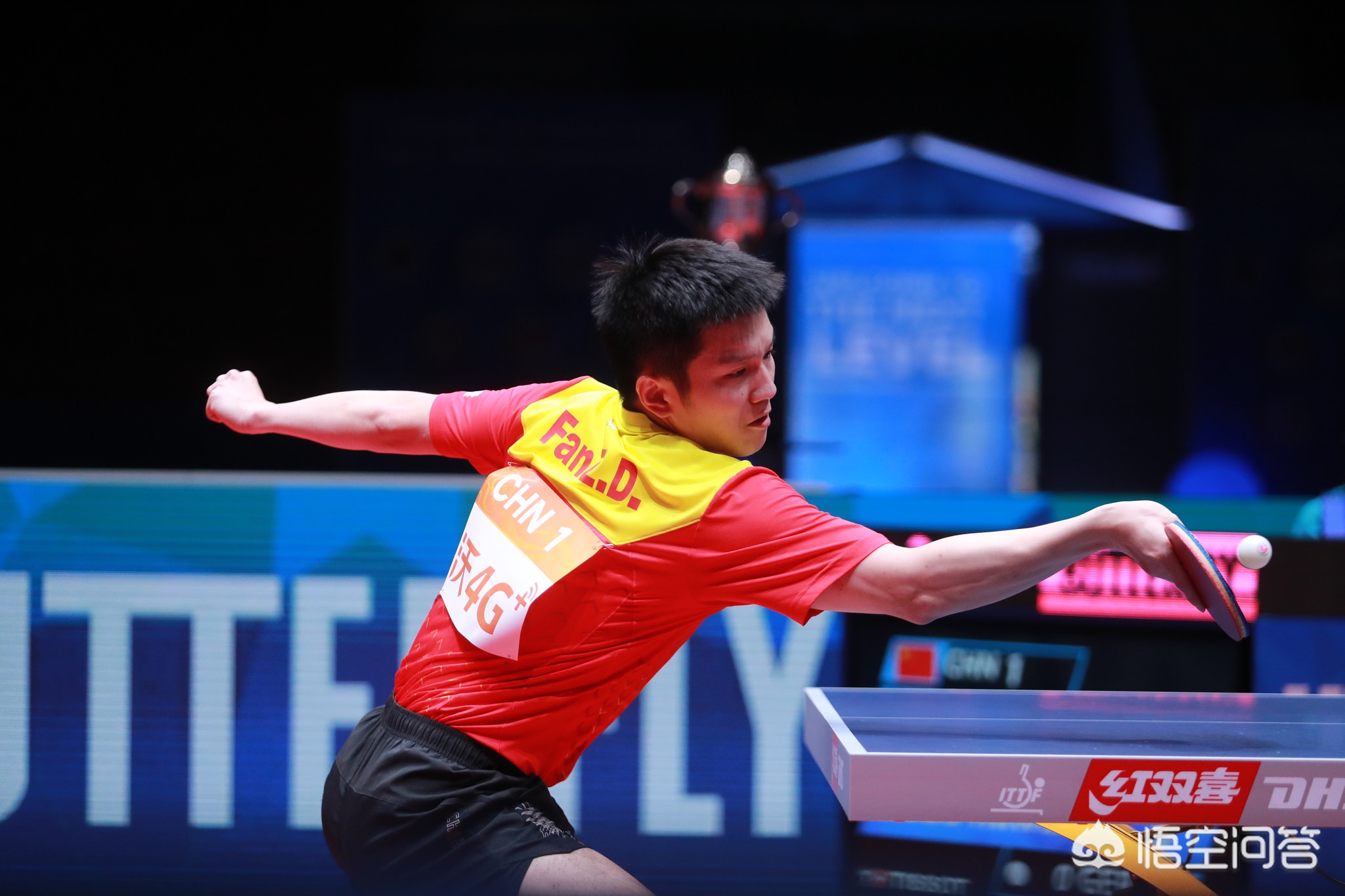 即将加盟 即将加盟