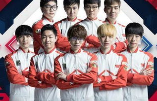 架又有弹性 架又有弹性